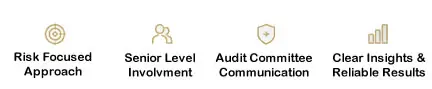 Public Company Audit & Assurance Services